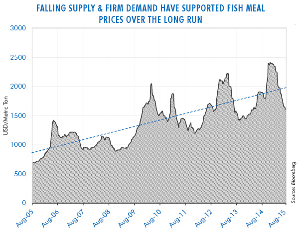 Fish Meal Price